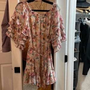 NWT Ruffled Sleeve Mini Dress